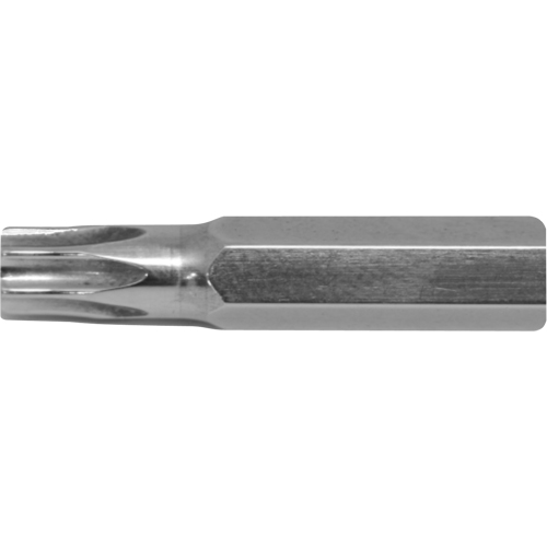 Stubby Multi-Bit Screwdriver -Replacement Bit, Torx, 10, 1/4" Drive FMT Sales Ltd