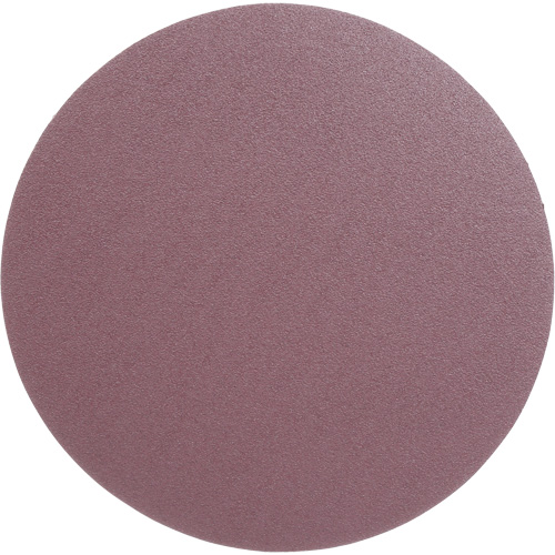 Meule en toile PSA 348D, dia 12", Grain 60, Oxyde d'aluminium, Poids FMT Sales Ltd