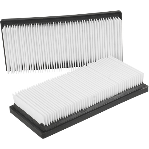 Filtres plats principaux, Cartouche, Pour 12 gal. US FMT Sales Ltd