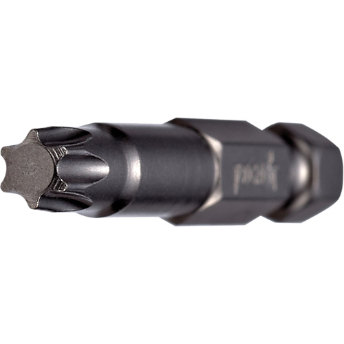 Embout pour outil &eacute;lectrique, Torx, Embout T-20, Prise 1/4", Longueur 2" FMT Sales Ltd