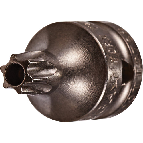 Embout &agrave; ins&eacute;rer, Torx inviolable, 8 x 3/4" lo, Prise 1/4" FMT Sales Ltd