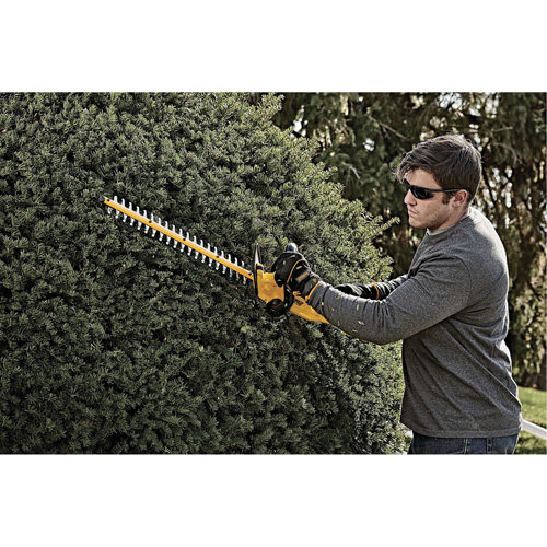 Taille-haie sans fil Max, 22", 20 V, &agrave; pile FMT Sales Ltd