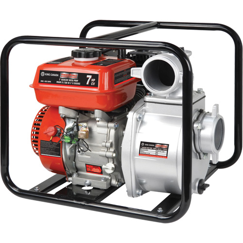 Pompe &agrave; eau &agrave; essence, 196 cc, LCT &agrave; 4 temps, 7,0 CV FMT Sales Ltd