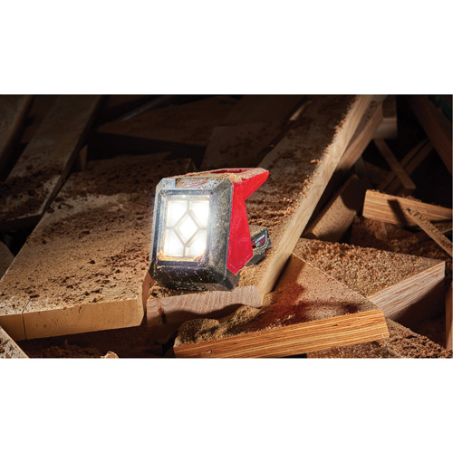 M12 Rover Mounting Flood Light, LED, 250 W, 1000 Lumens FMT Sales Ltd