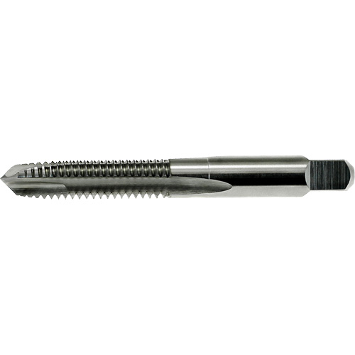 Taraud &agrave; pointe spiral&eacute;e surdimensionn&eacute;e Nitro DRILLCO, Acier rapide, Filet de 8-32 FMT Sales Ltd