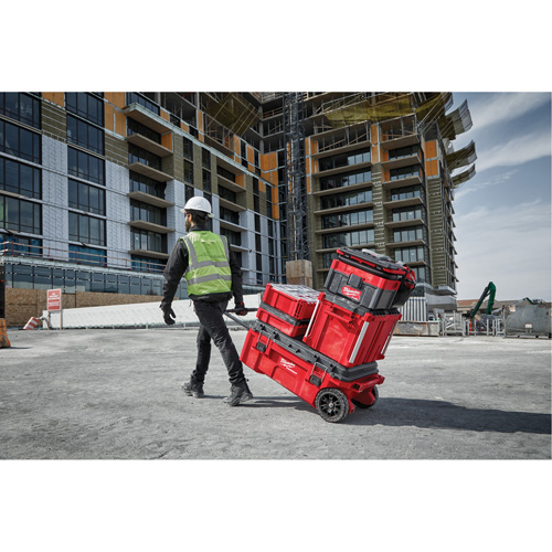 Packout Rolling Tool Chest, 15-4/5" x 34" x 28", Red FMT Sales Ltd