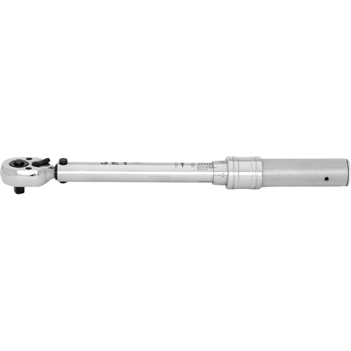 JITW-14250 Cl&eacute;s dynamom&eacute;triques industrielles, &agrave; cliquer, Entraînement 1/4" carr&eacute;, 50 - 250 lb-po FMT Sales Ltd
