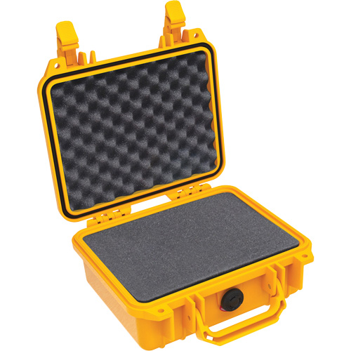 1200 Protector Case with Foam FMT Sales Ltd