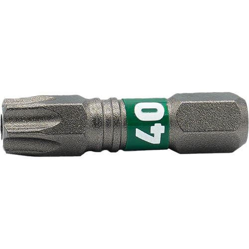Impactech&reg; Insert Bit, Torx&reg; Tamper, T-40, 1/4" Drive FMT Sales Ltd