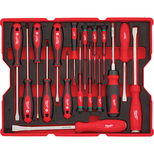 Jeu de tournevis et de leviers avec organisateur pour tiroirs PACKOUT, 17, Magn&eacute;tique FMT Sales Ltd