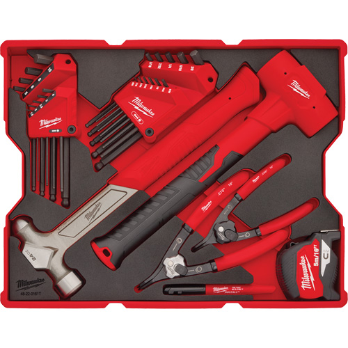 Jeu de cl&eacute;s hexagonales et marteaux avec plateau pour tiroirs PACKOUT FMT Sales Ltd