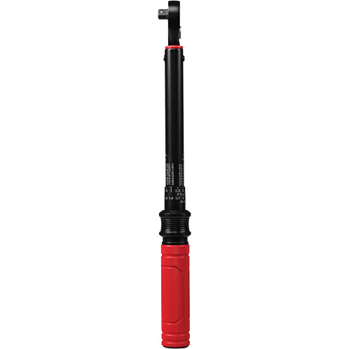 Cl&eacute; dynamom&eacute;trique, &agrave; cliquer, Entraînement 3/8" carr&eacute;, 20 - 100 lb-po/27,1 - 135,6 Nm FMT Sales Ltd