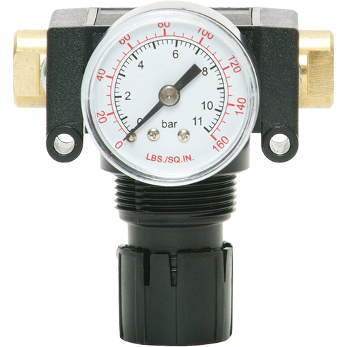 MODULAIR 200 Acetal Piston Regulator, 1/4" NPT, 150 PSI Max. PSI, In Line/Modular FMT Sales Ltd