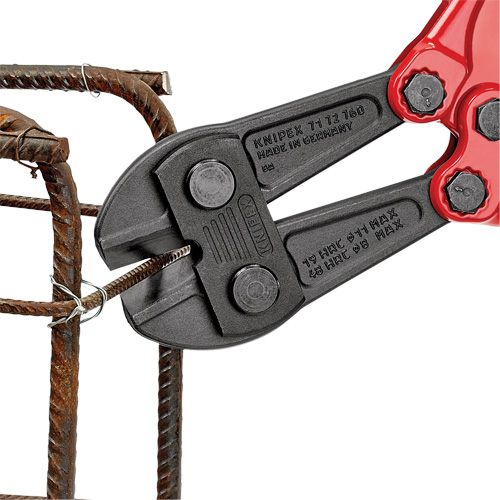 Large Bolt Cutters, 30" L, Center Cut FMT Sales Ltd