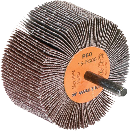 Disques &agrave; lamelles - Meules &agrave; lamelles Coolcut, Oxyde d'aluminium, Grain 80, 3" x 1-1/2" x 1/4" FMT Sales Ltd
