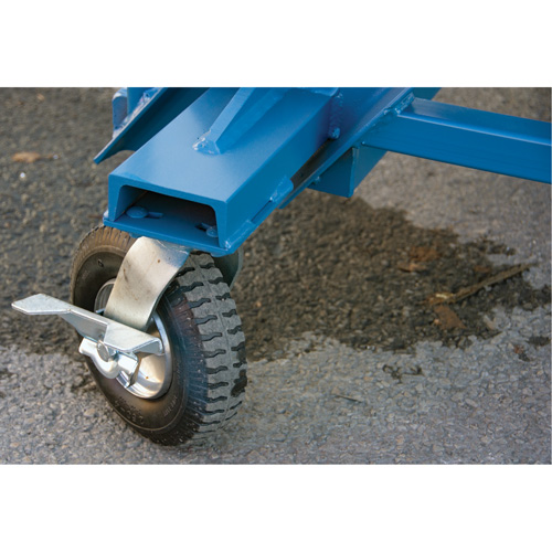 &eacute;chelle &agrave; neige, Acier, 10 Marches, 99" ha, 85-1/2" p, 48" Marche, Stri&eacute; FMT Sales Ltd