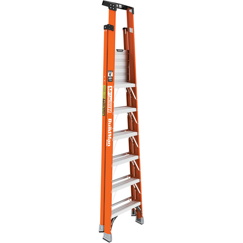 Escabeau avec plateforme Safespace, 6', Cap. De 300 lb FMT Sales Ltd