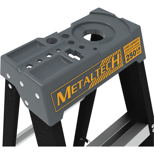 Step Ladder with Paint Tray, 10', Fibreglass, 250 lbs. Capacity, Type 1 FMT Sales Ltd