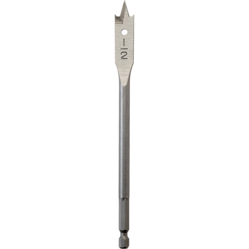 M&egrave;che plate, Diam&egrave;tre de 1/2", Tige 1/4" hex, Longeur de 6" FMT Sales Ltd