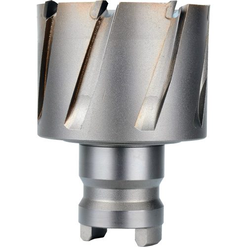 Fraise avec tenon &agrave; changement rapide Drive Hawg, Diam&egrave;tre de 2", Acier, Profondeur de la coupe de 1" FMT Sales Ltd