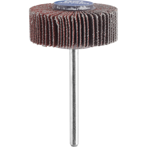 M&egrave;che de ponçage &agrave; roue &agrave; lamelles 3/8" - grain 120 FMT Sales Ltd