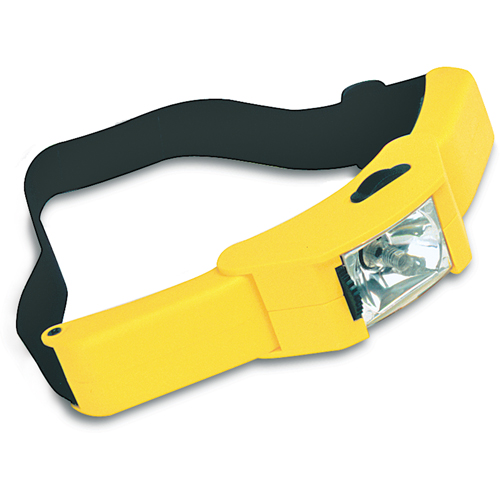 Explosion-Proof Headlight, LED, 4 Hrs. Run Time, AA Batteries FMT Sales Ltd
