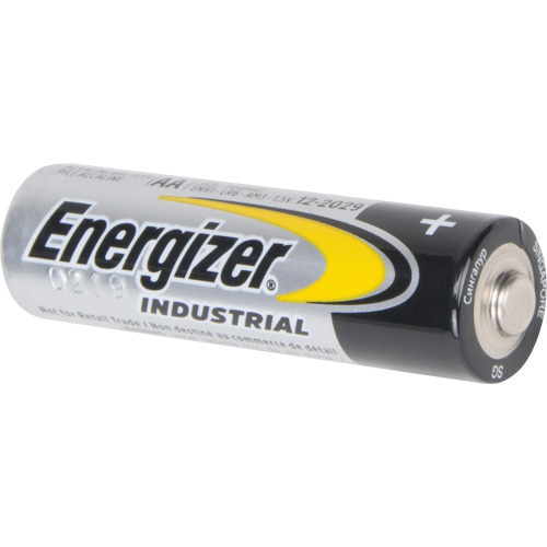 Alkaline Industrial Batteries, AA, 1.5 V FMT Sales Ltd