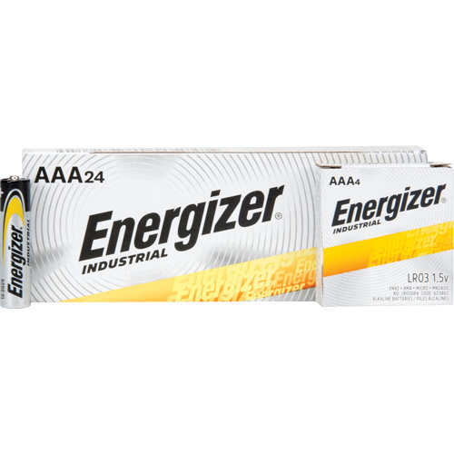 Alkaline Industrial Batteries, AAA, 1.5 V FMT Sales Ltd
