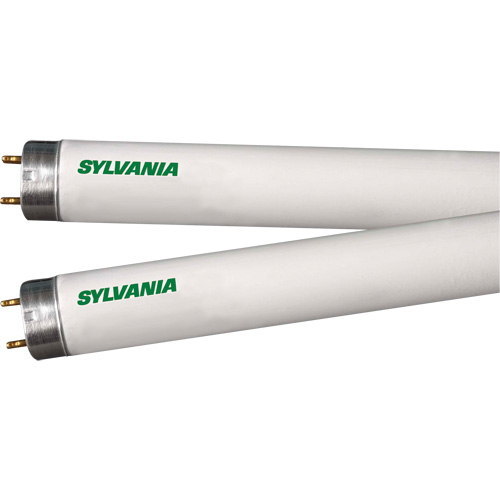 Fluorescent Lamps, 32 W, T8, 4100 K, 48" Long FMT Sales Ltd