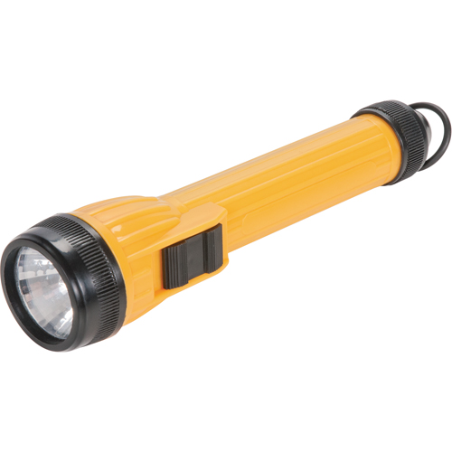 Lampe de poche AFL100, DEL, 28 lumens, Piles AA FMT Sales Ltd