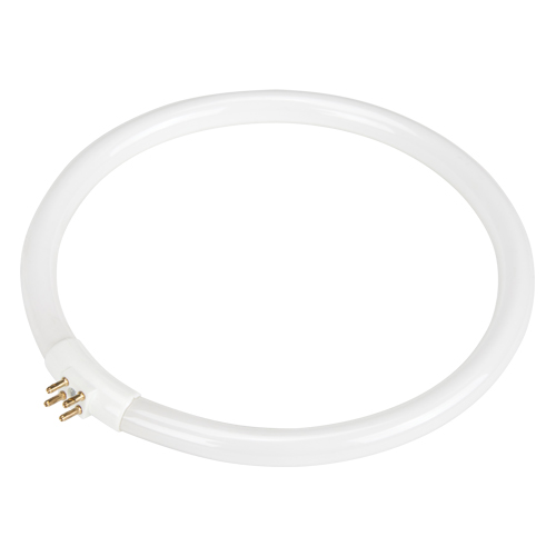 Replacement Fluorescent Bulb for Rhinomag Illuminated Magnifiers, 22 W FMT Sales Ltd