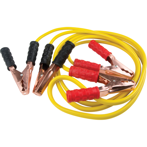 C&acirc;ble de survoltage, 8 AWG, 150 A, C&acirc;ble 10' FMT Sales Ltd