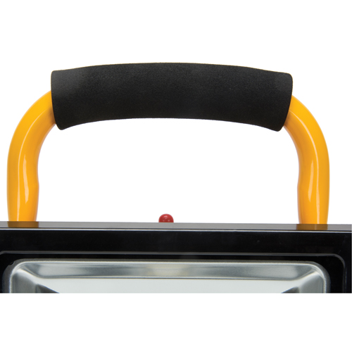Projecteur portatif, DEL, 20 W, 2500 lumens, Boîtier en Aluminium FMT Sales Ltd