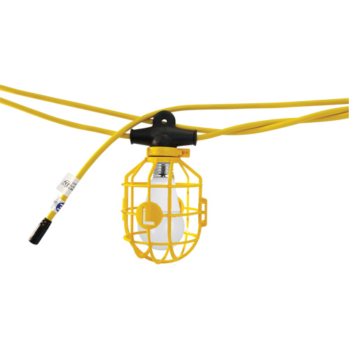 Chaînes de lumi&egrave;res DEL, 10 Lumi&egrave;res, 1200" lo, Boîtier en Plastique FMT Sales Ltd
