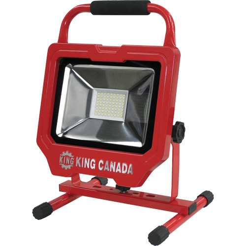 Lampe de travail, DEL, 36 W, 4000 lumens, Boîtier en Aluminium FMT Sales Ltd