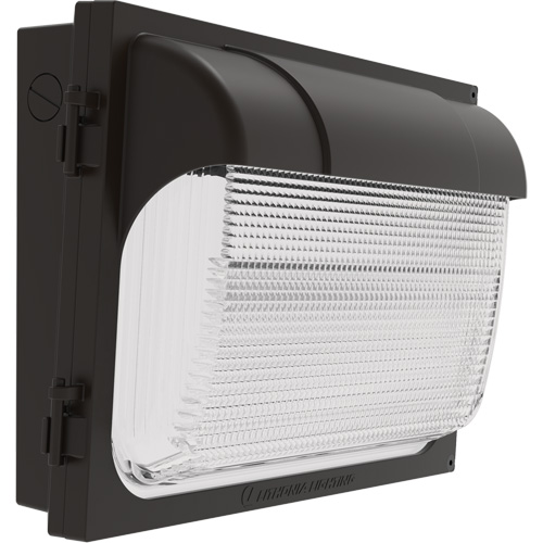 Applique murale TWX, DEL, 480 V, 9 W - 54 W, 14" ha x 18" la x 5" p FMT Sales Ltd