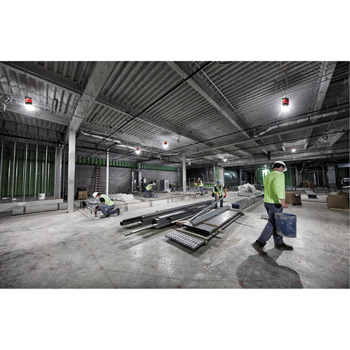 RADIUS Temporary Site Light, LED, 130 W, 15000 Lumens FMT Sales Ltd