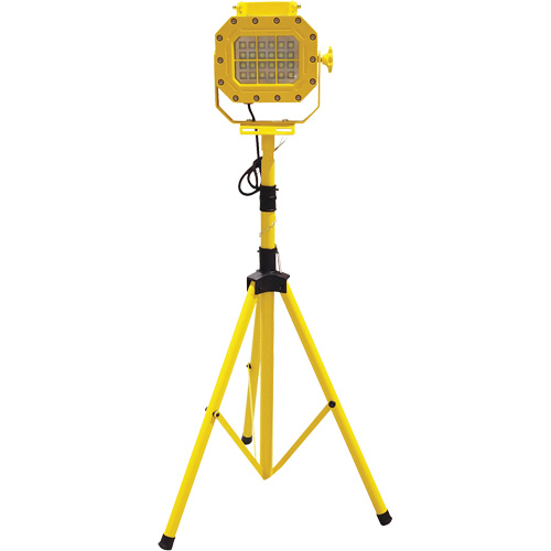 Diffuseur anti-d&eacute;flagration avec tr&eacute;pied, DEL, 40 W, 5600 lumens, Boîtier en Aluminium FMT Sales Ltd