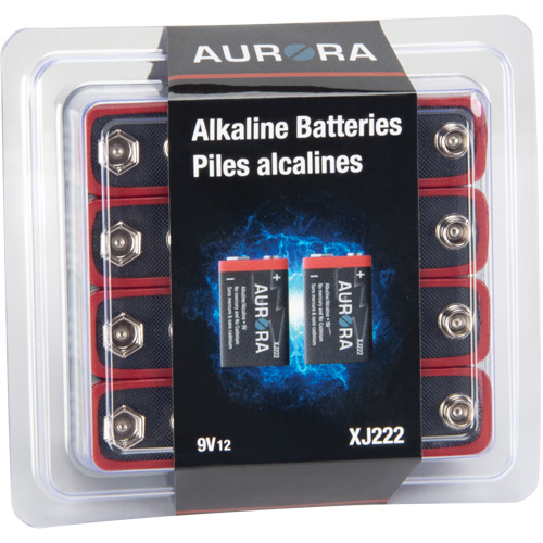 Piles alcalines industrielles, 9 V FMT Sales Ltd