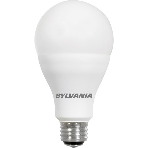 Lampe Ultra LED A-Line, 23 W, 2600 lumens, base Moyen FMT Sales Ltd