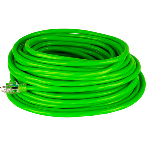Cordon rallonge de calibre industriel, Toutes saisons, SJTW, AWG 10/3, 15 A, 50' FMT Sales Ltd