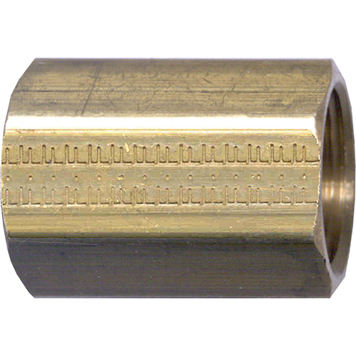 Pipe Coupling, Brass, 3/8" FMT Sales Ltd