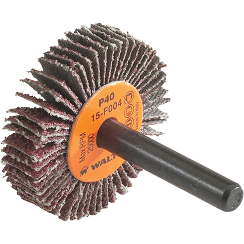 Disque &agrave; lamelles Coolcut, Oxyde d'aluminium, Grain 60, 1-1/2" x 3/8" x 1/4" FMT Sales Ltd