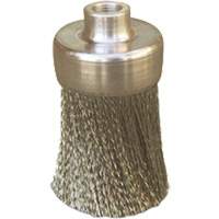 Brosses plates, rondes ou Roto FMT Sales Ltd