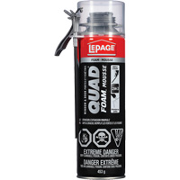 Quad&reg; Foam Window & Door Installation Foam, Aerosol Can, Tan FMT Sales Ltd