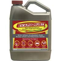 Agent antirouille super s&eacute;curitaire Evapo-Rust, Cruche FMT Sales Ltd