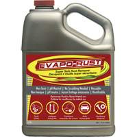 Agent antirouille super s&eacute;curitaire Evapo-Rust, Cruche FMT Sales Ltd