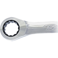 Non-Reversing Ratcheting Combination Wrench FMT Sales Ltd