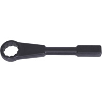 Flat Striking Wrench, 1-5/8", 12 Point FMT Sales Ltd