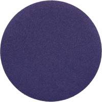 PSA Sanding Discs